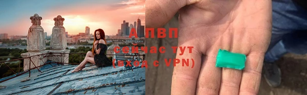 стаф Тавда