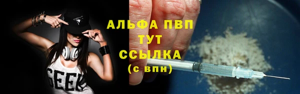 PSILOCYBIN Строитель