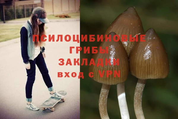 трава Ступино