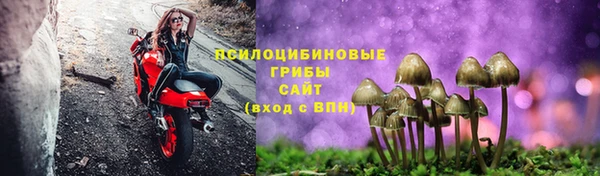 трава Ступино