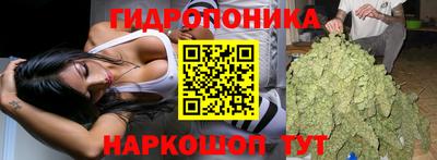 гашик Гагарин