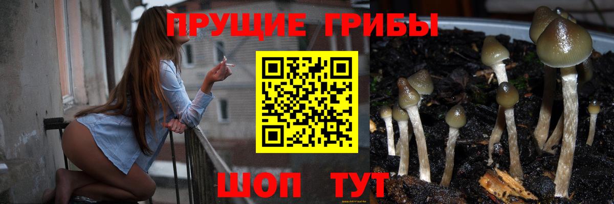 Псилоцибиновые грибы мухоморы  Галлюциногенные грибы Psilocybe  Вход с VPN  Калининград 