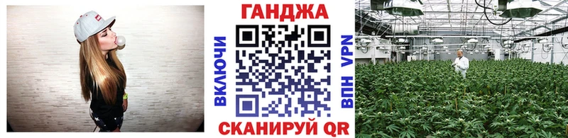 мега tor  Калининград  Конопля Ganja 